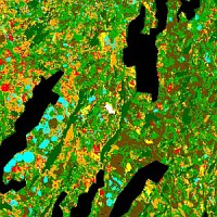 Early crop acreage estimation (ERS), Spain 1995